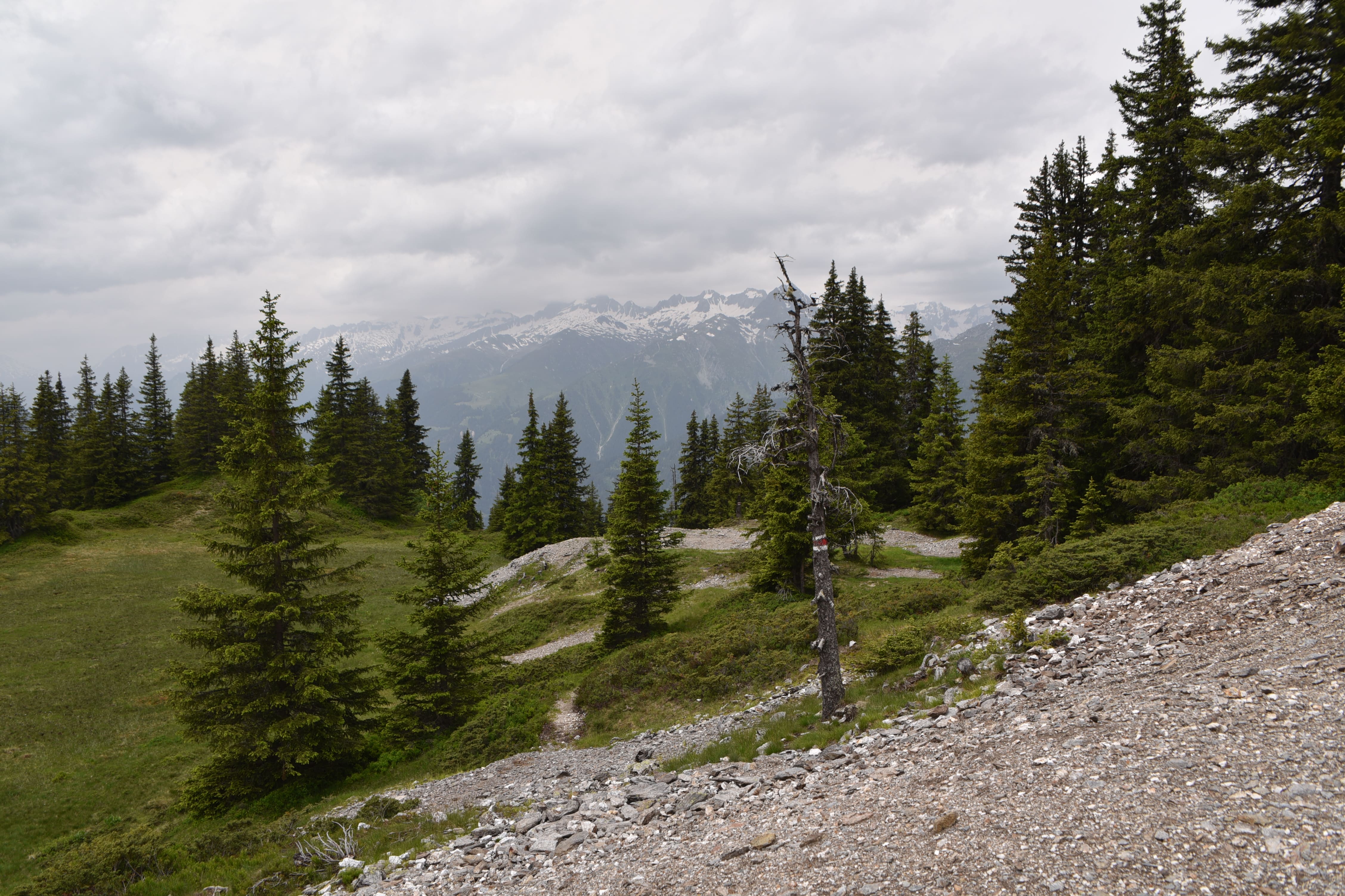 Wandern